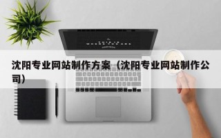 南宁沈阳专业网站制作方案（沈阳专业网站制作公司）